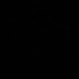 Meet your Posher, Vishal